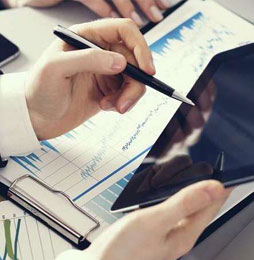 Company Auditor